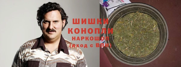 гидра Алексин
