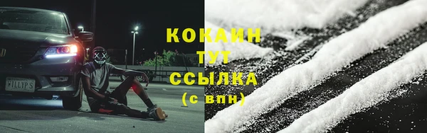 твердый Алексеевка