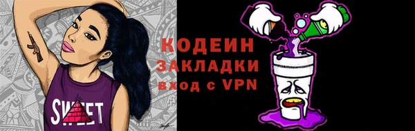 шишки Абаза