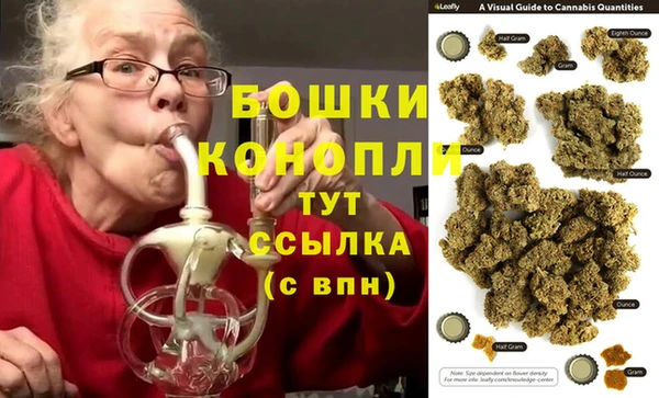 гидра Алексин