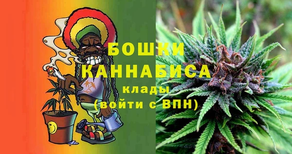 PSILOCYBIN Кодинск