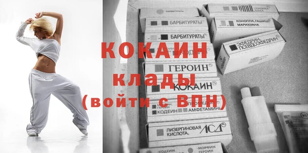гидра Алексин