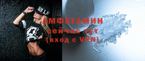 гидра Алексин